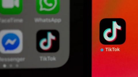 TikTok anuncia novo programa para expandir biblioteca de música comercial e conectar artistas e marcas